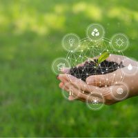Contributi per la transizione digitale ed ecologica e per sistemi di sicurezza
